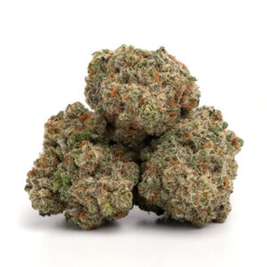 Acquistare Jack Herer Weed